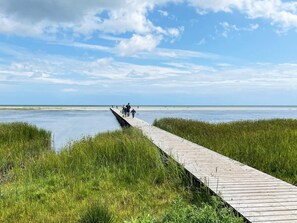 A wooden boardwalk extending into a marshy area with a clear view of the ocean and a partly cloudy sky. - 6 Person Holiday Home in Hadsund (Hadsund)