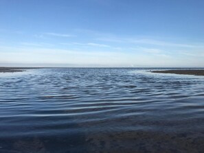 En strand med stilla vatten och en klar himmel.