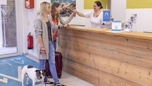 Zona de recepción con mostrador de madera, extintor, felpudo azul con flechas direccionales y un perro.