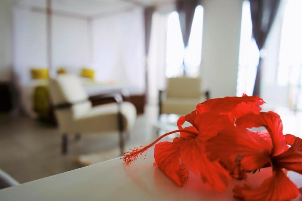 A modern living room with a white sofa, a coffee table, and a red hibiscus flower in the foreground.