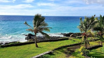 A coastal landscape with a grassy area, palm trees, and a view of the ocean.
