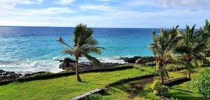 A coastal landscape with a grassy area, palm trees, and a view of the ocean. - Al Camar Lodge (Djomani)