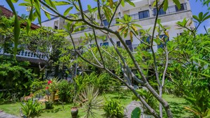 Un patio con diversas plantas y un edificio con balcones.