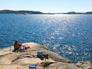 A person sitting on a rocky outcrop overlooking a body of water with a flock of flamingos. - 4 Person Holiday Home in Lysekil (Lysekil)