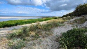 A coastal landscape with a sandy beach, green dunes, and a clear sky.