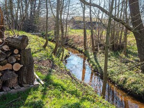 House | Property grounds