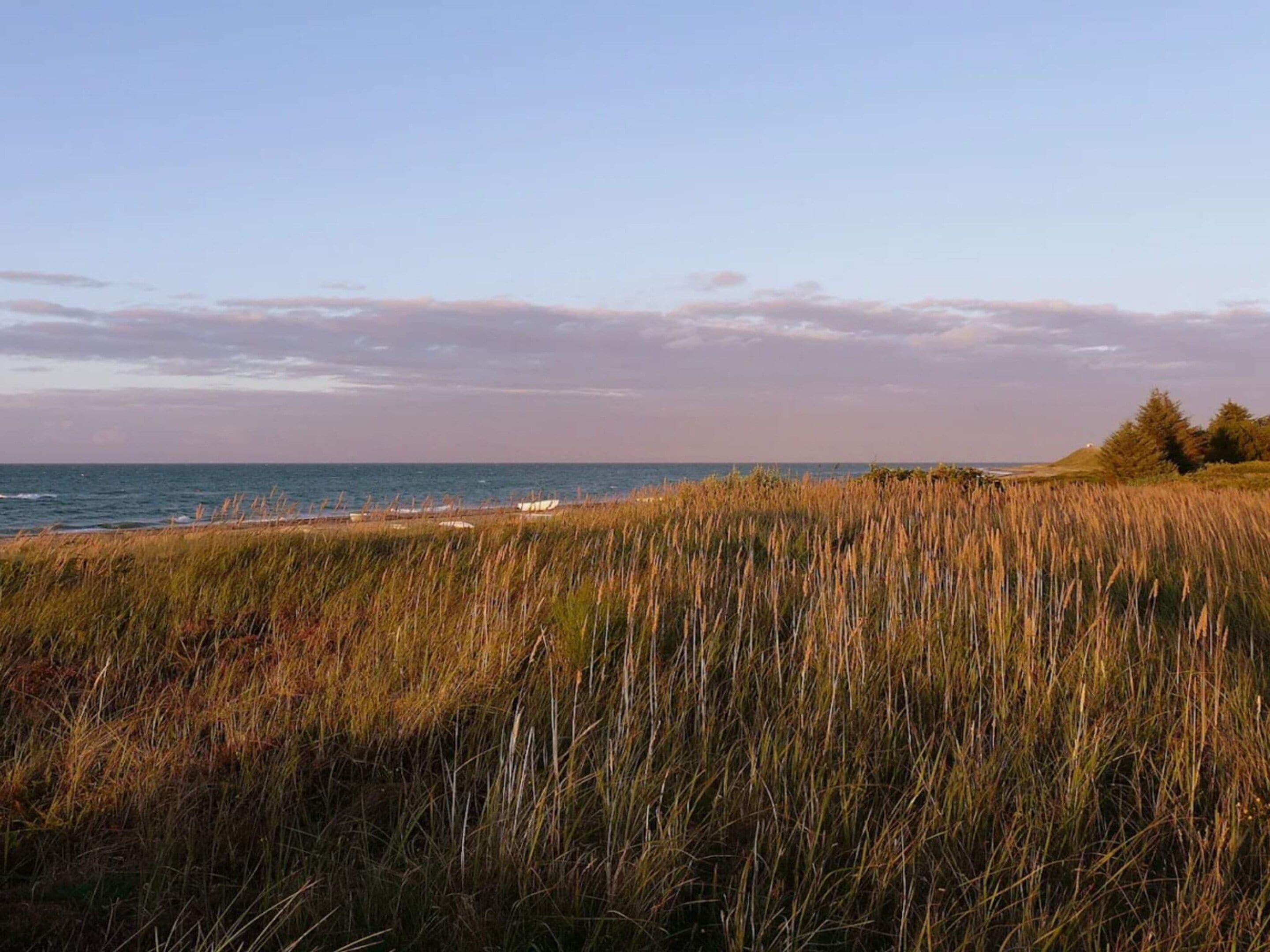 A coastal landscape with a grassy foreground, a beach, and the ocean in the background.