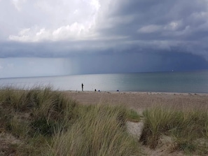 A beach with sand, grass, and a person fishing.