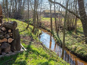 Ett naturligt landskap med en bäck, träd och en hög med timmerstockar.