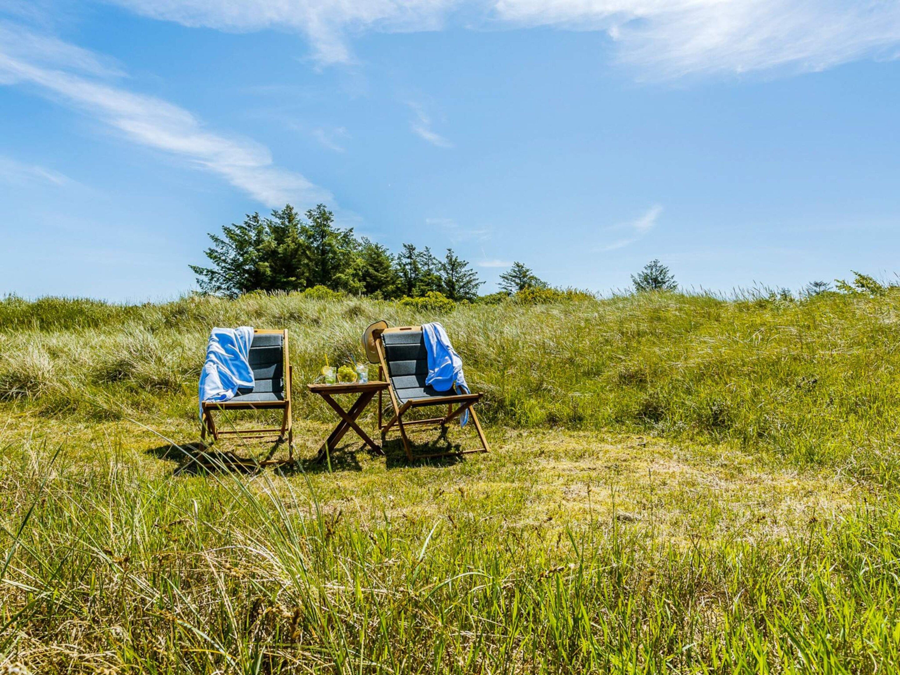 Two beach chairs with blue covers on a grassy field with trees in the background.
