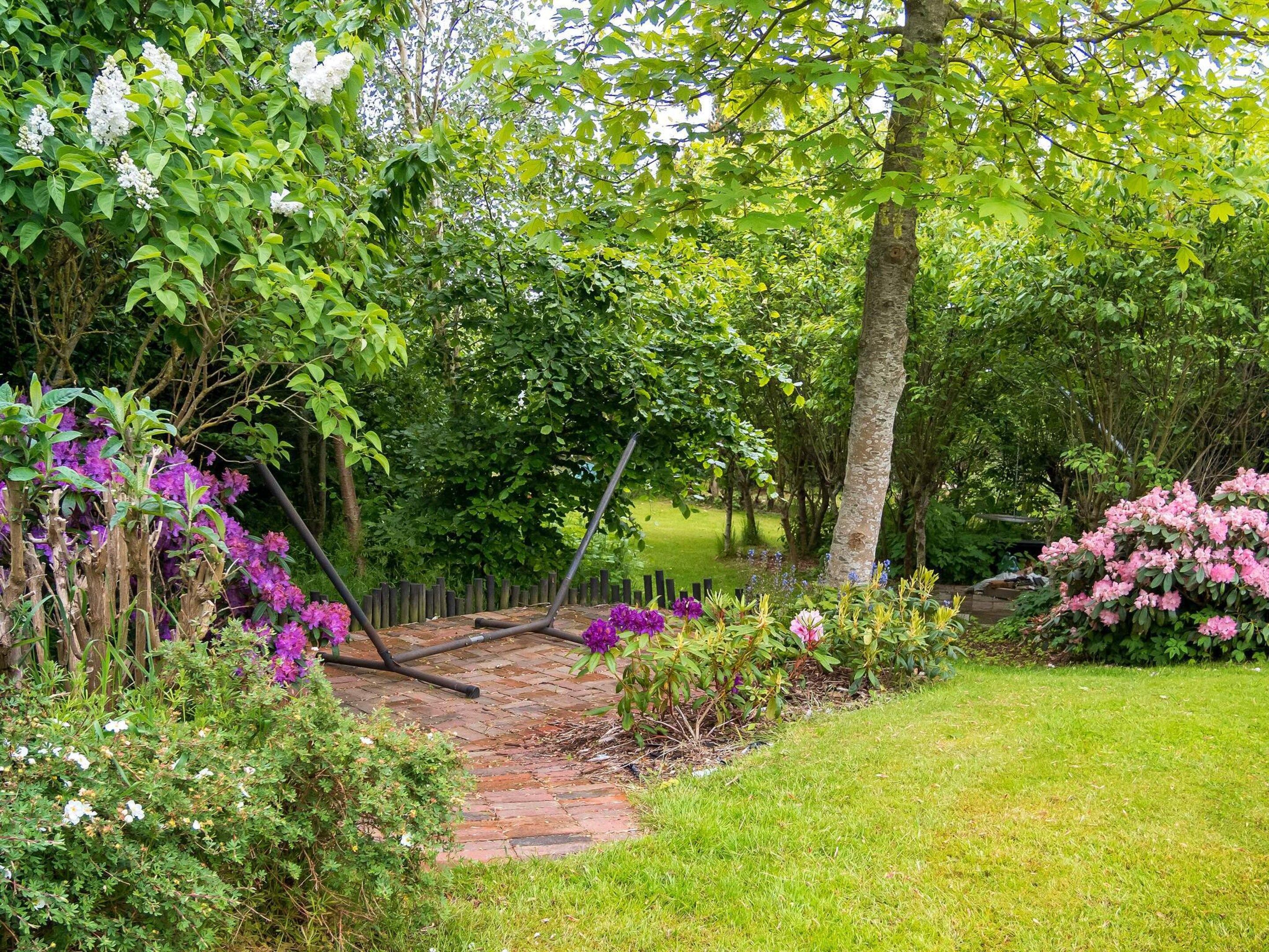 Un jardí amb un camí de pedra, vegetació abundant i arbustos florits.