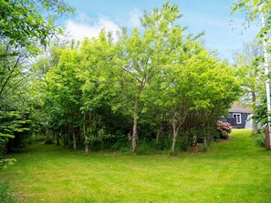 A backyard with a lawn, trees, and a house.