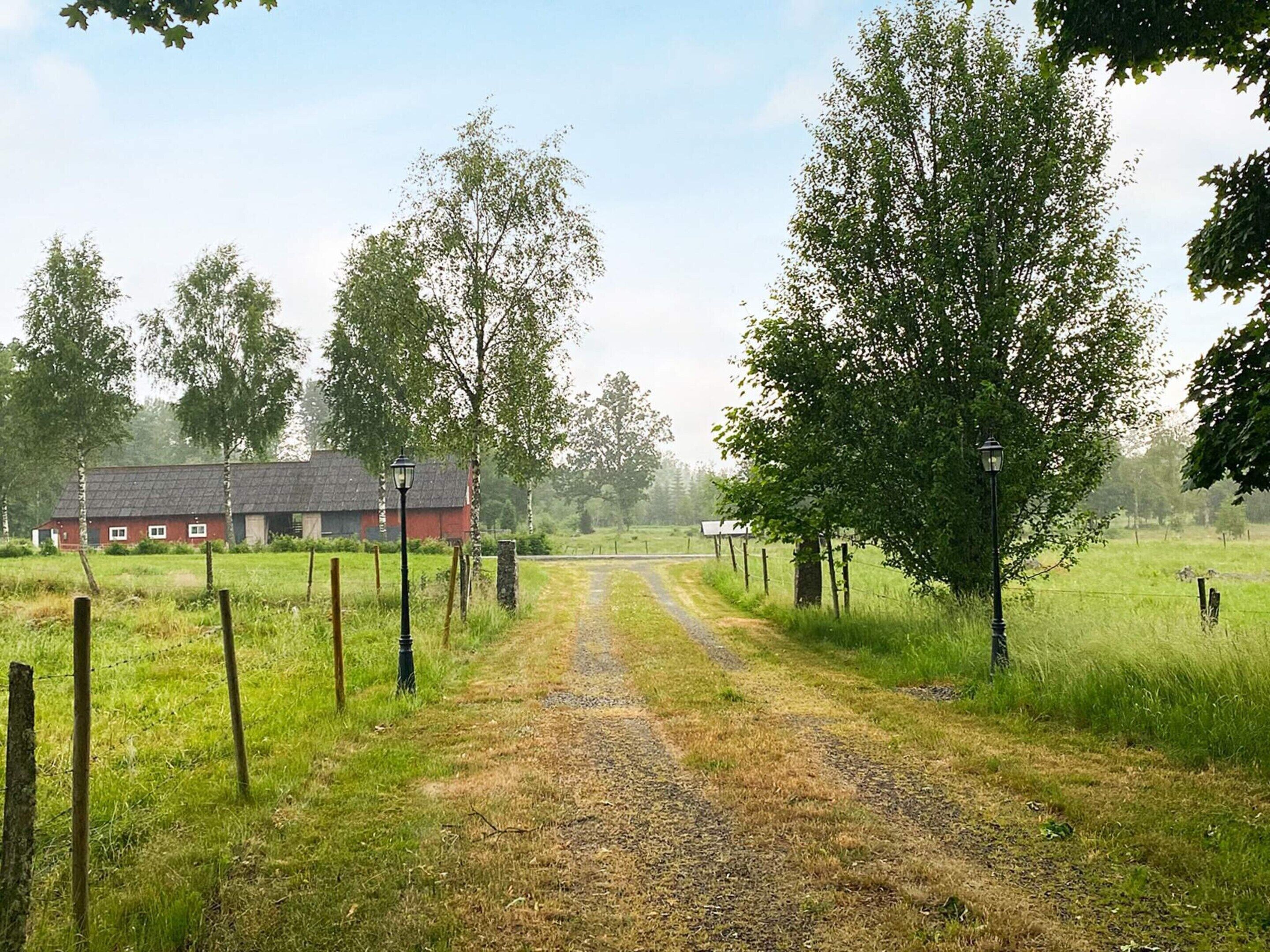 A rural landscape with a dirt path leading to a red building, surrounded by trees and open fields.