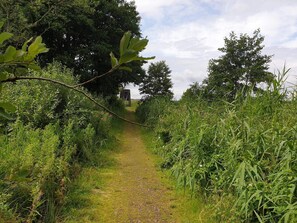 House | Property grounds