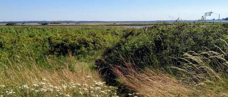 Un paysage naturel caractérisé par un canal d’eau, une végétation luxuriante et un horizon lointain.