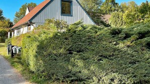 A single-story building with a sloped roof, surrounded by dense shrubbery. - 2 Person Holiday Home in Garsnas (Gärsnäs)