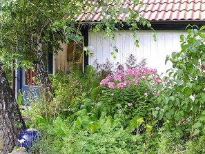 獨棟房屋 | 外觀