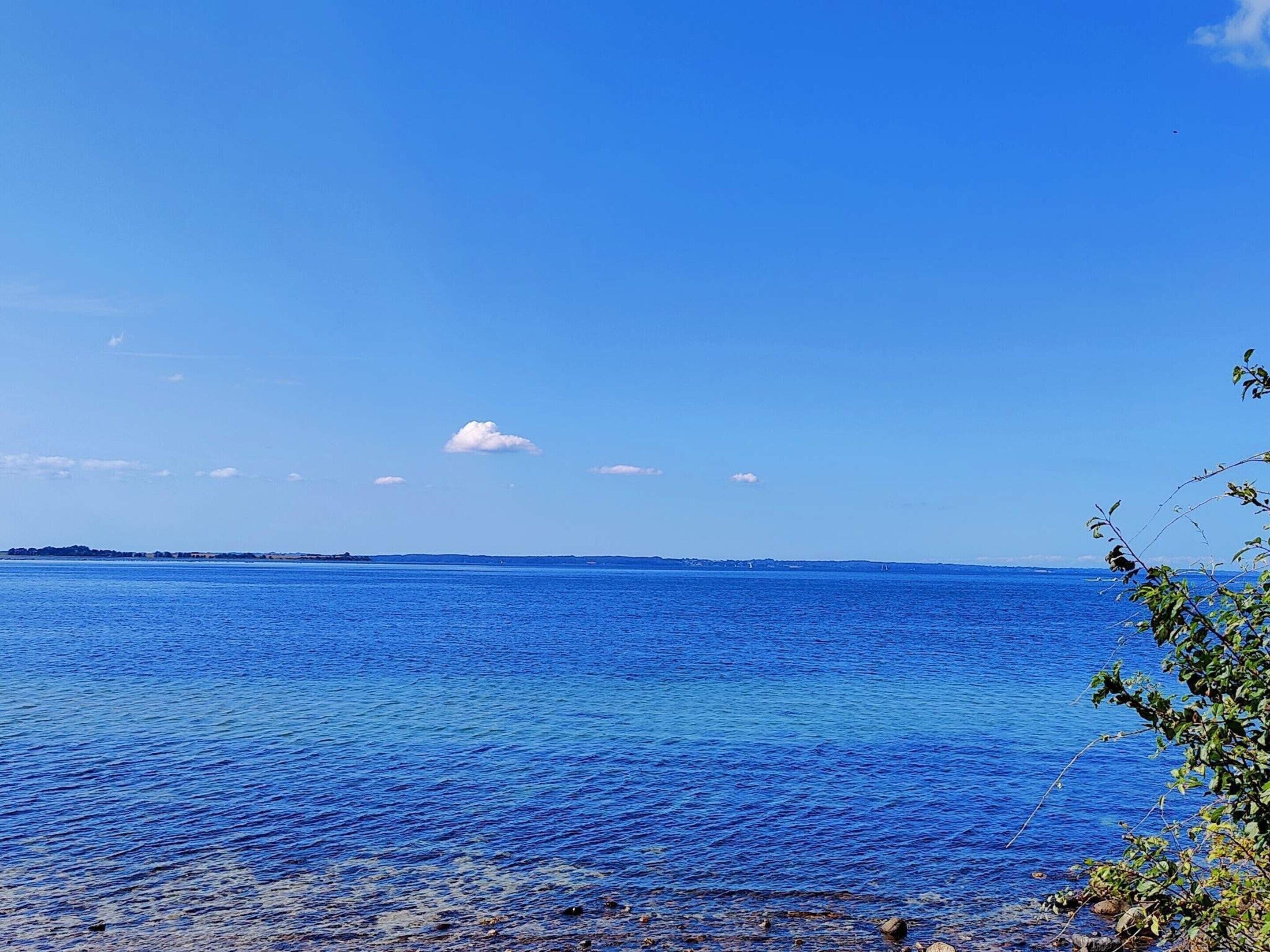 House | Water view
