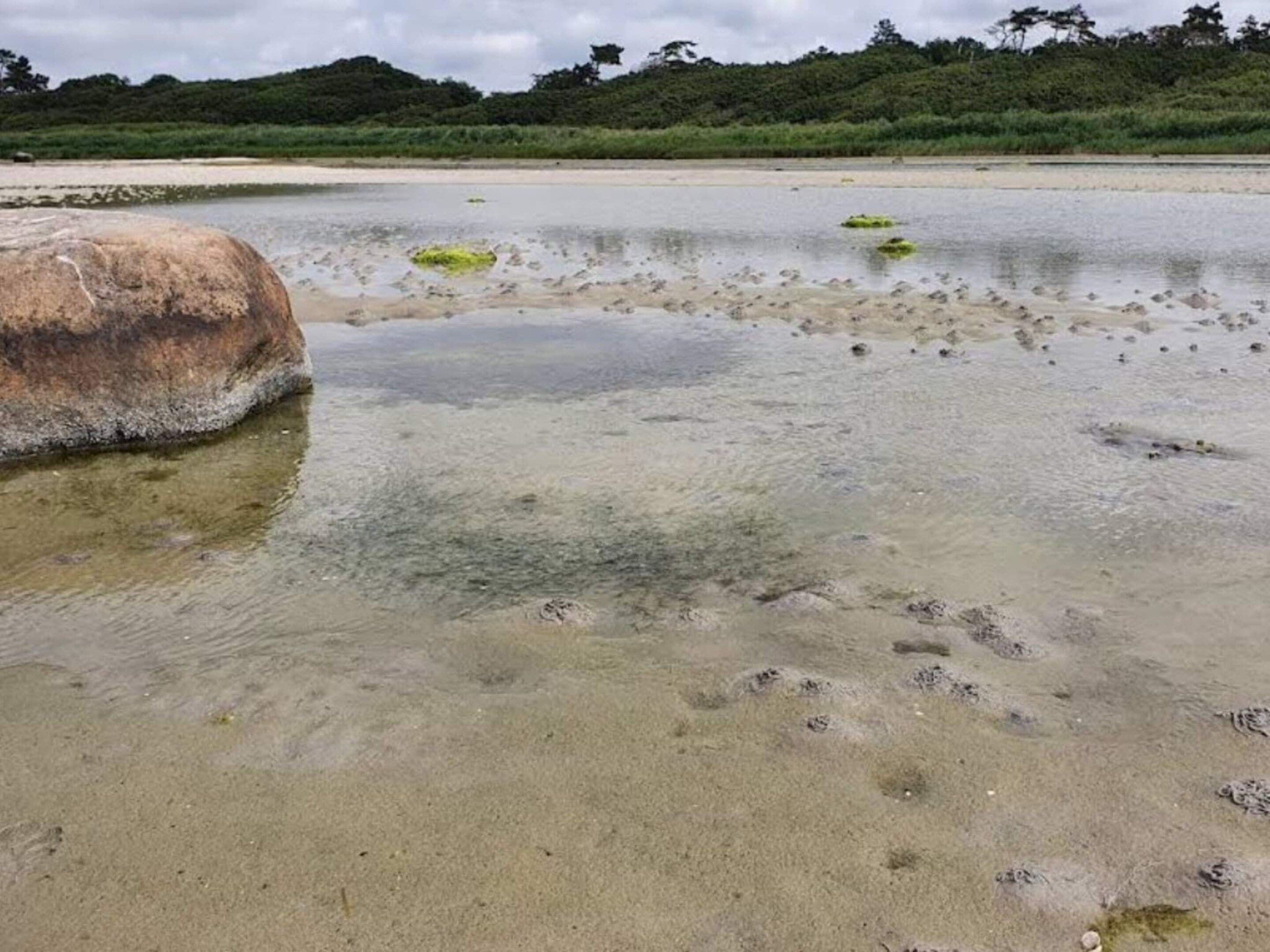 Pemandangan air