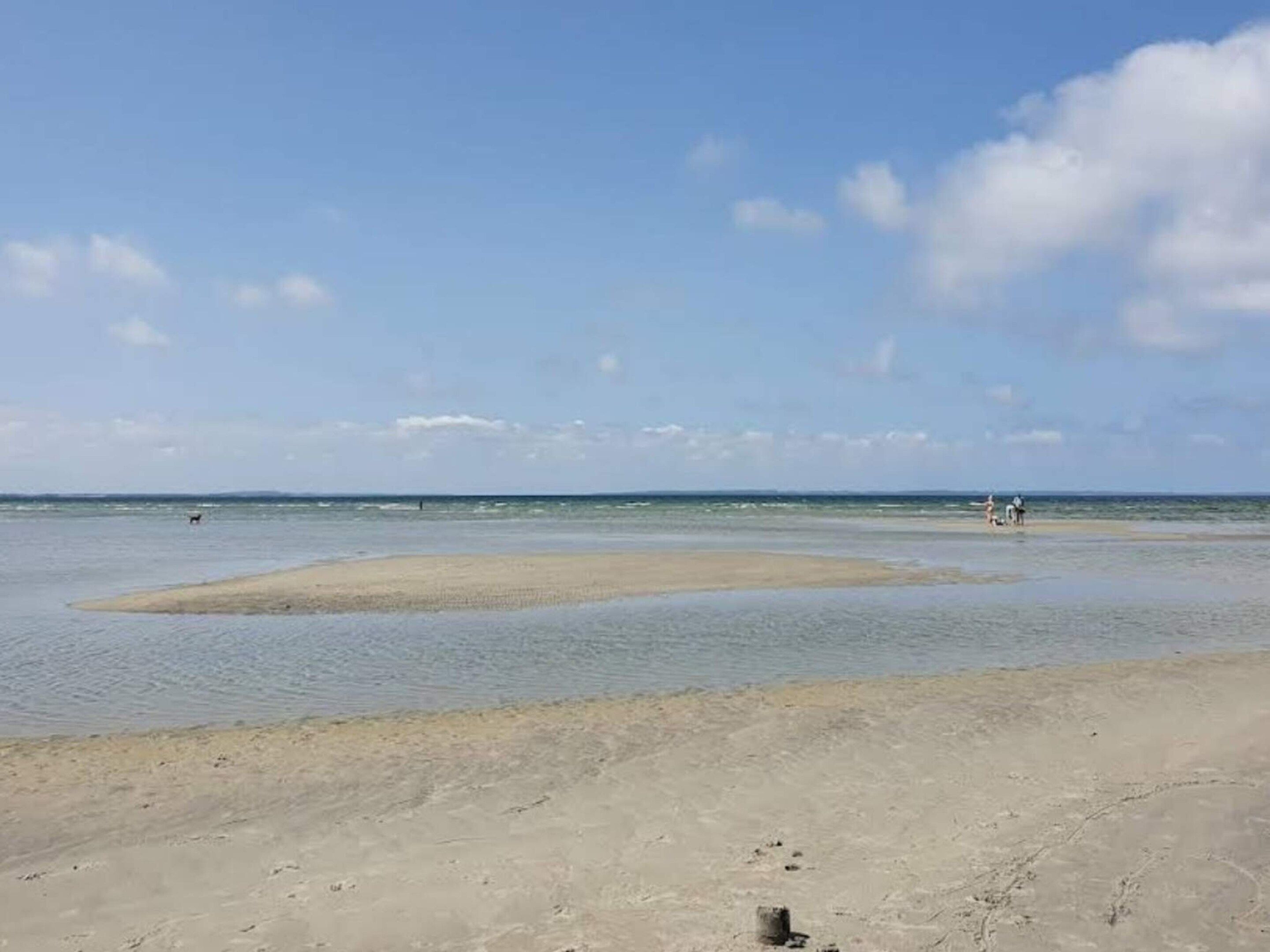 A beach with clear skies, calm water, and a few people in the distance.