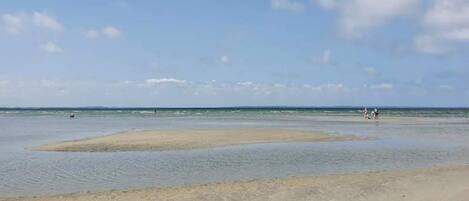 A beach with clear skies, calm water, and a few people in the distance.