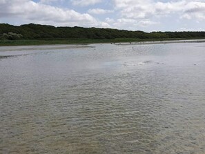 Una playa con una orilla arenosa y una colina boscosa al fondo.