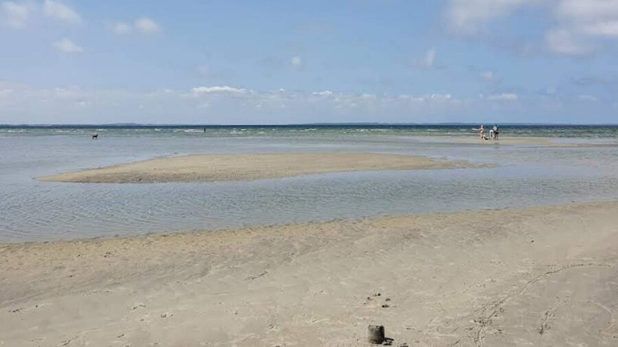 4 Person Holiday Home in Jaegerspris