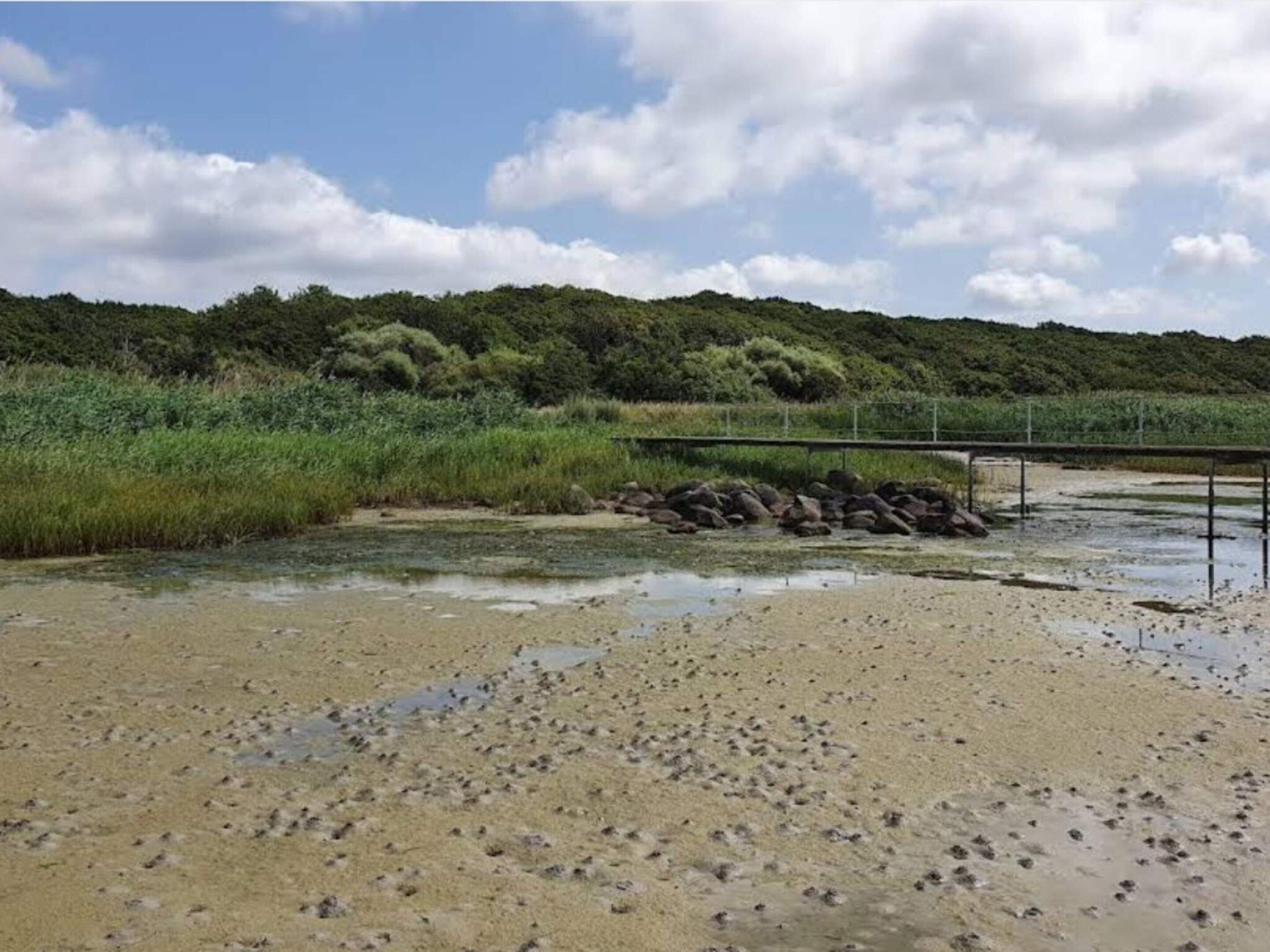 Une plage de sable avec une jetée métallique qui s’avance dans l’eau, entourée d’une végétation luxuriante et avec des collines en arrière-plan.
