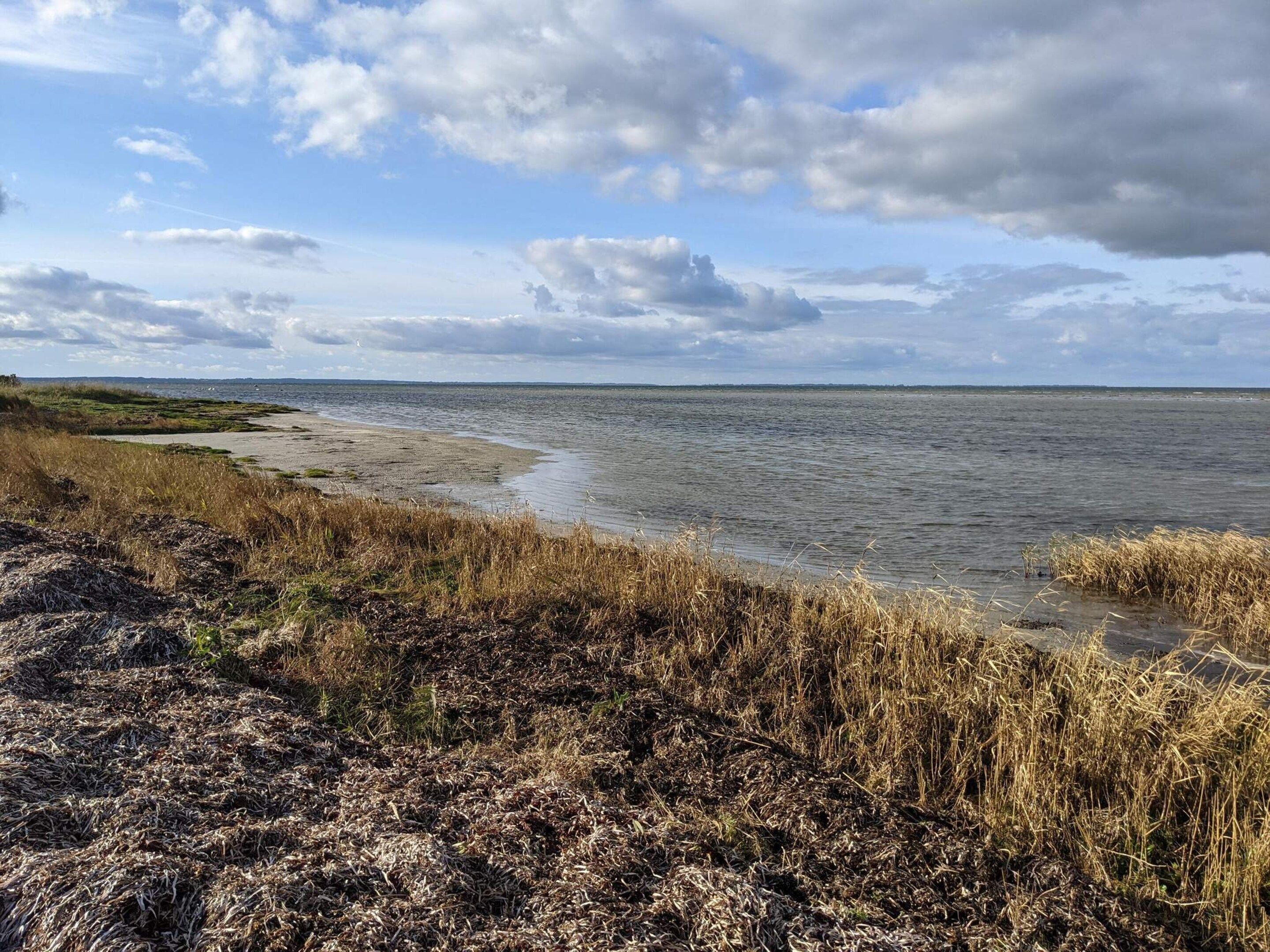 A coastal landscape with a sandy beach, grassy dunes, and a calm sea under a partly cloudy sky.