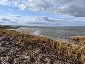 A coastal landscape with a sandy beach, grassy dunes, and a calm sea under a partly cloudy sky. - 4 Person Holiday Home in Jaegerspris (Jægerspris)