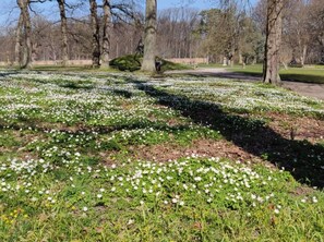 House | Property grounds - 4 Person Holiday Home in Jaegerspris (Jægerspris)