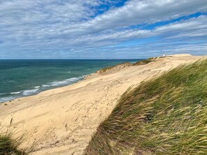 A coastal landscape with a sandy beach, grassy dunes, and a lighthouse in the distance. - 4 Star Holiday Home in Hjorring (Hjørring)