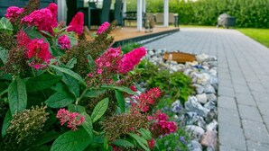 A garden with vibrant pink flowers in front of a house with a covered porch.