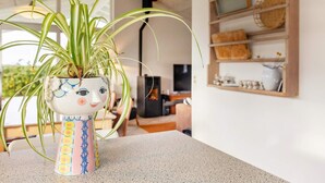 A potted plant with a face on the pot in a room with a fireplace, shelves, and a television.