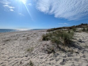 A sandy beach with sparse vegetation and a clear sky.
