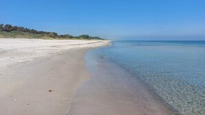 Een strand met helder water, een zandstrand en een boomlijn in de verte.