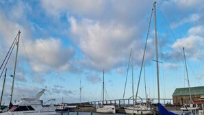 Een jachthaven met diverse zeilboten afgemeerd, een houten steiger en een gebouw op de achtergrond.