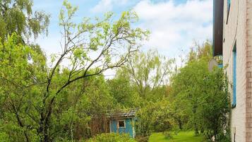 Una pequeña casa azul rodeada de abundante vegetación y árboles.