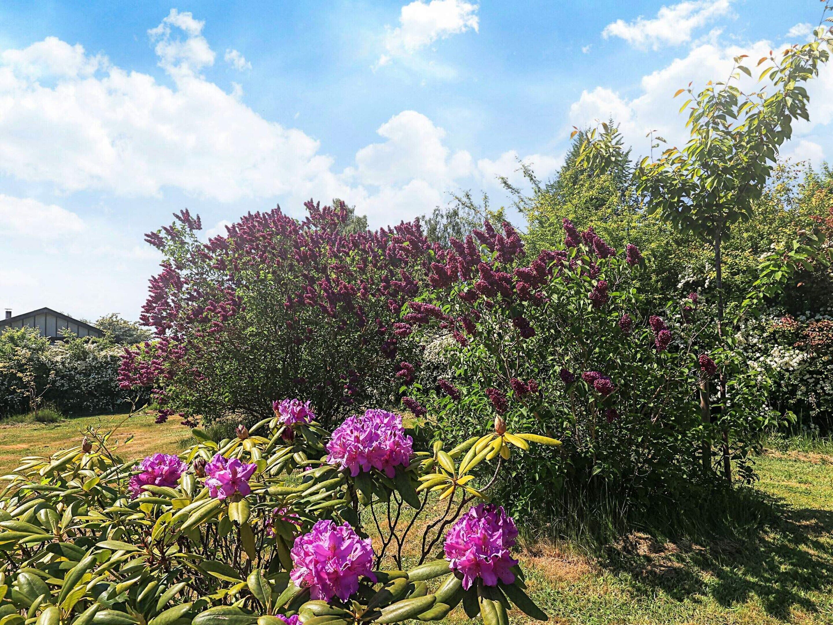 House | View from property