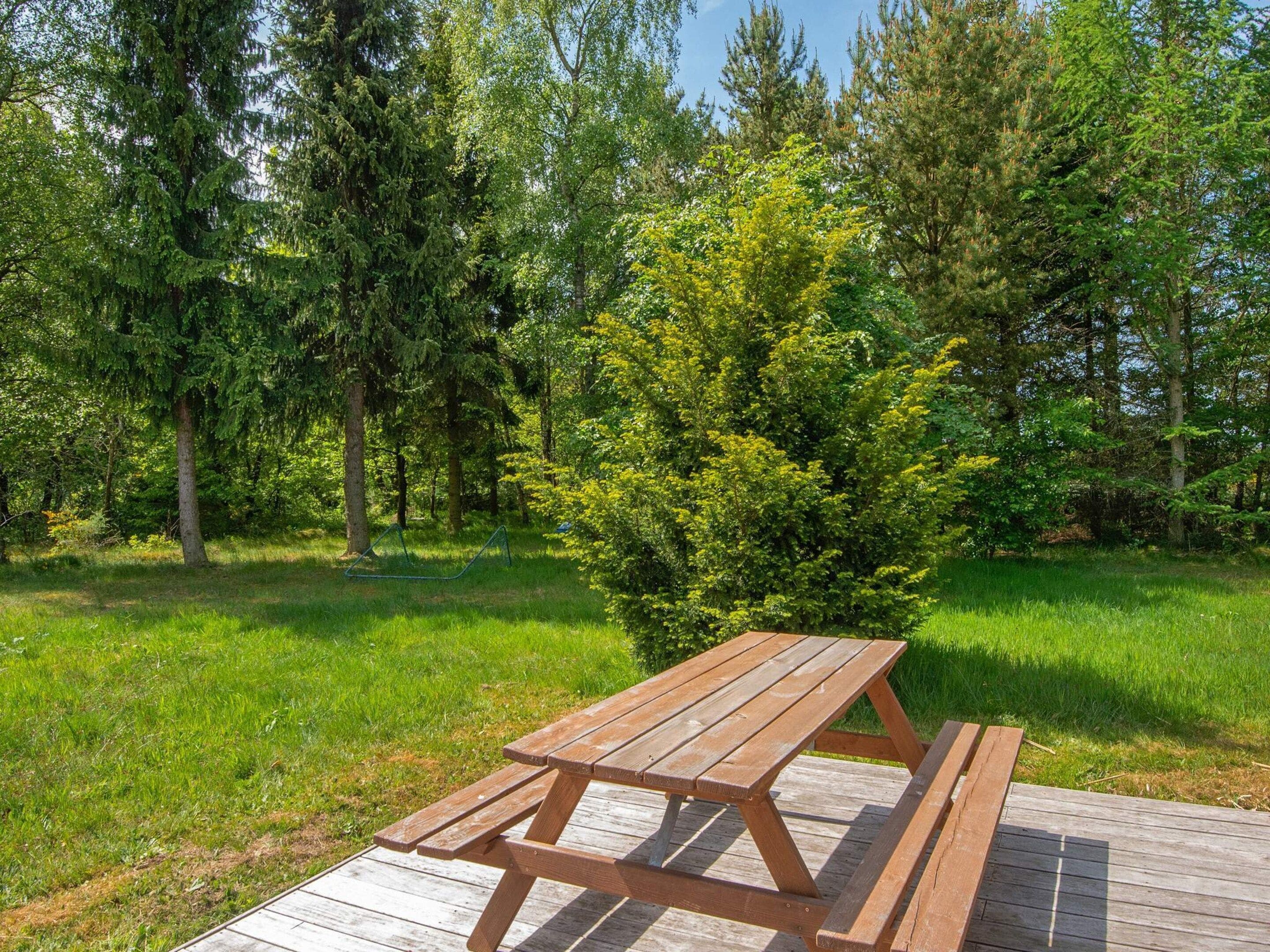 Ein Picknicktisch in einem bewaldeten Gebiet.