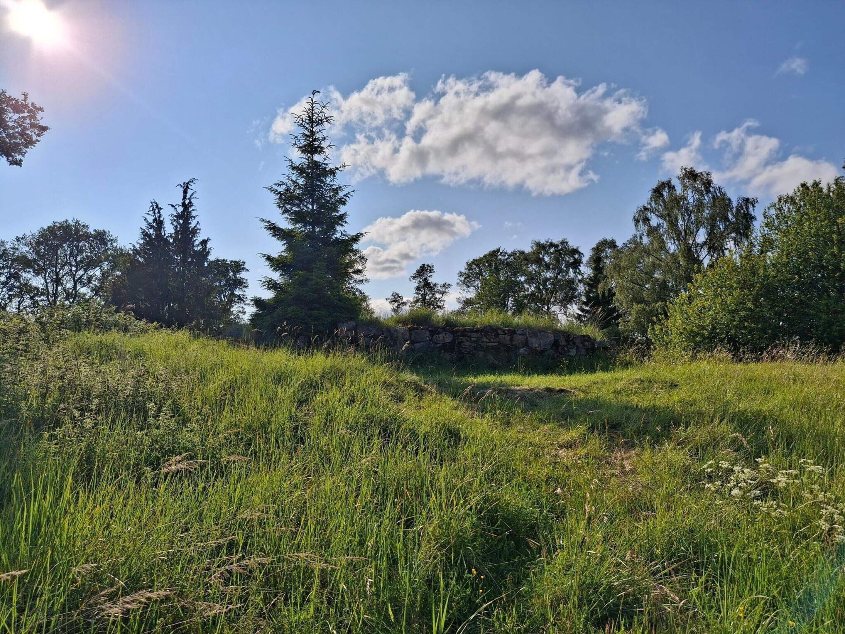 Un champ herbeux avec un mur de pierre et des arbres en arrière-plan.
