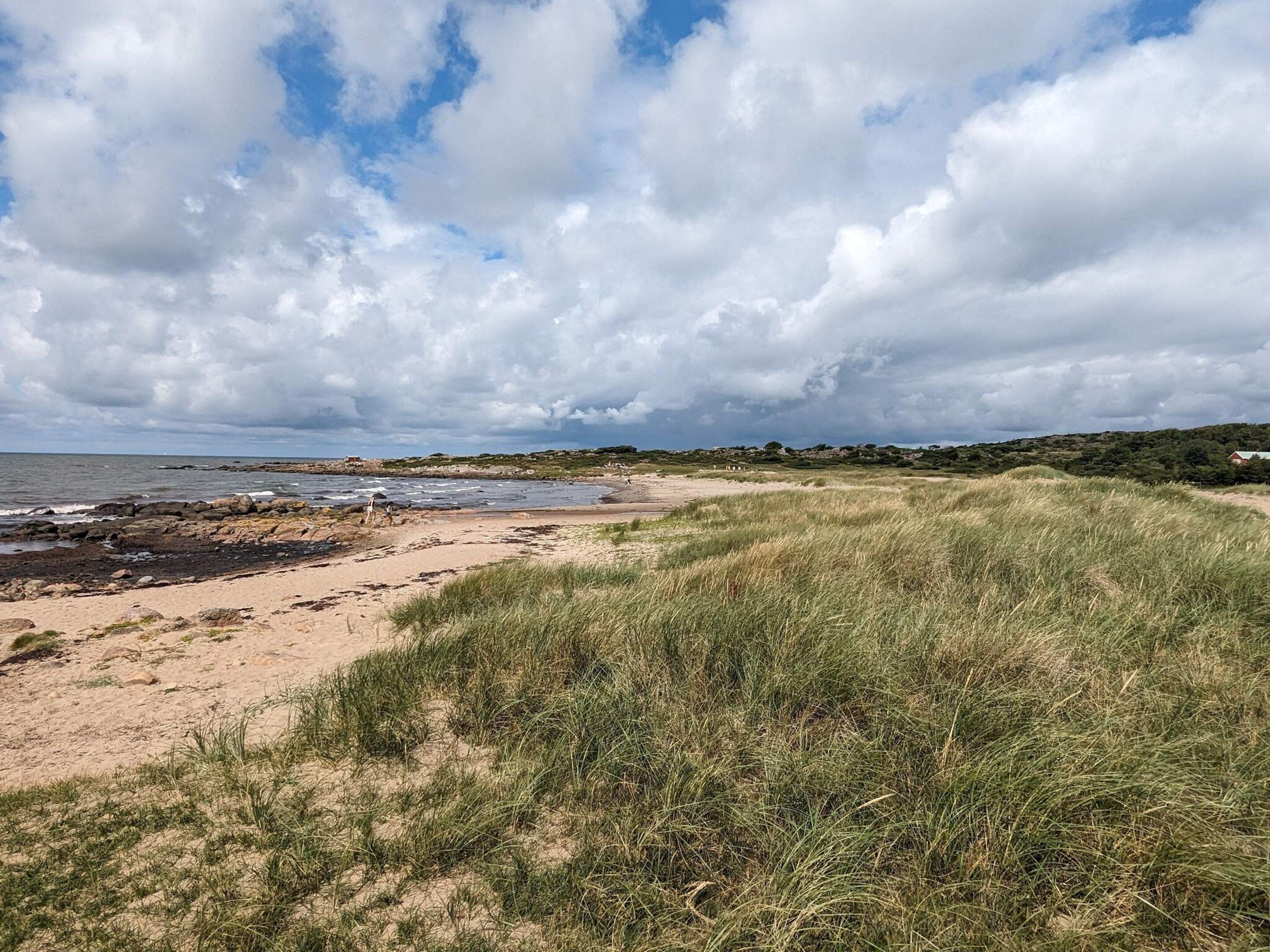 Une plage avec du sable, de l’herbe et un ciel nuageux.