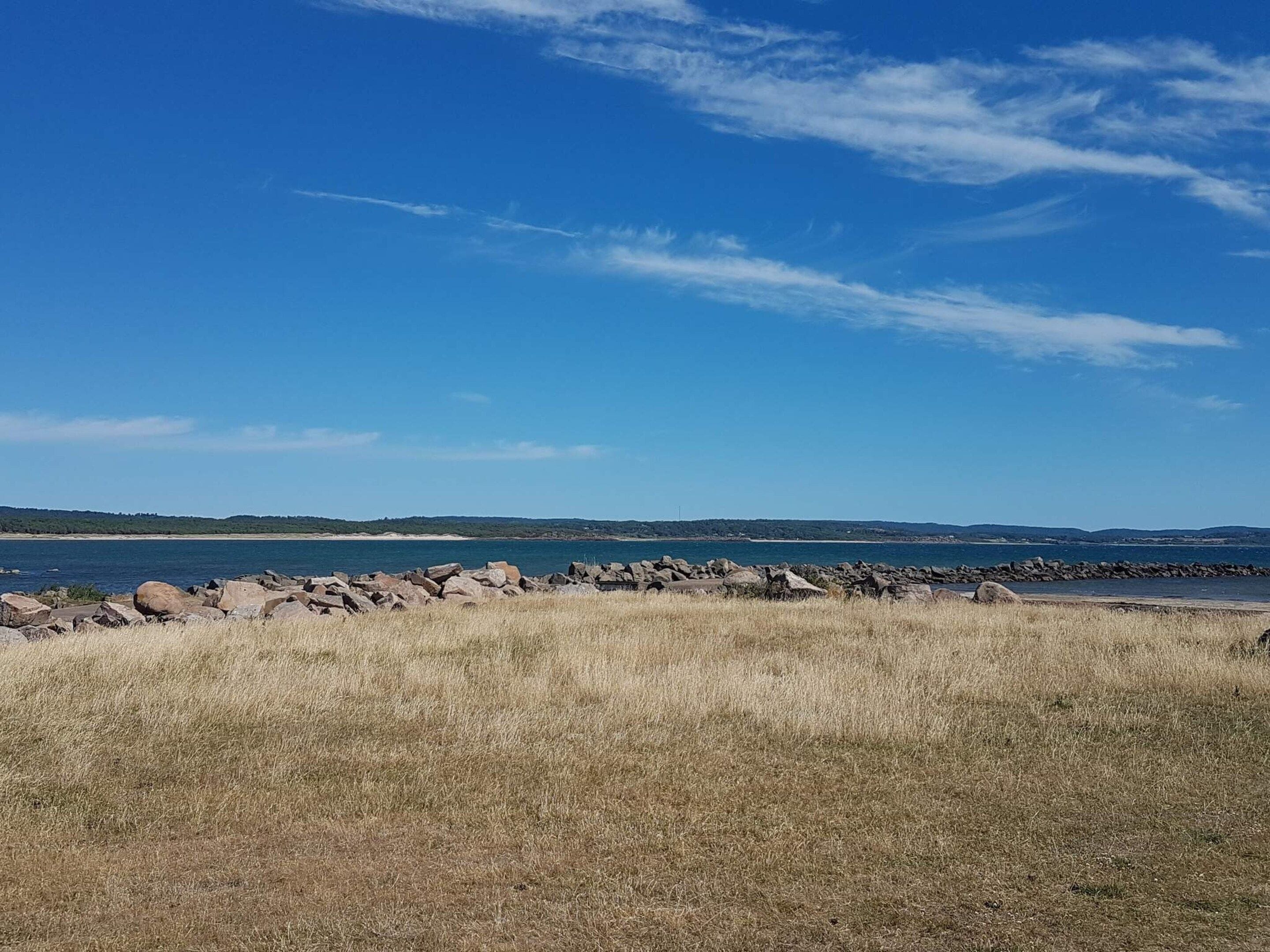 A coastal landscape with a rocky shoreline, grassy foreground, and a clear blue sky.
