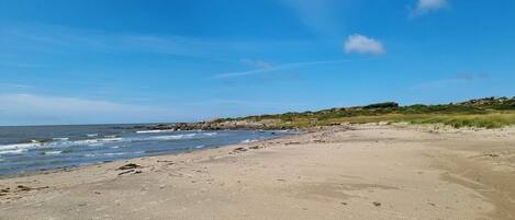 Une plage avec un ciel dégagé, un rivage sablonneux et des affleurements rocheux visibles au loin.