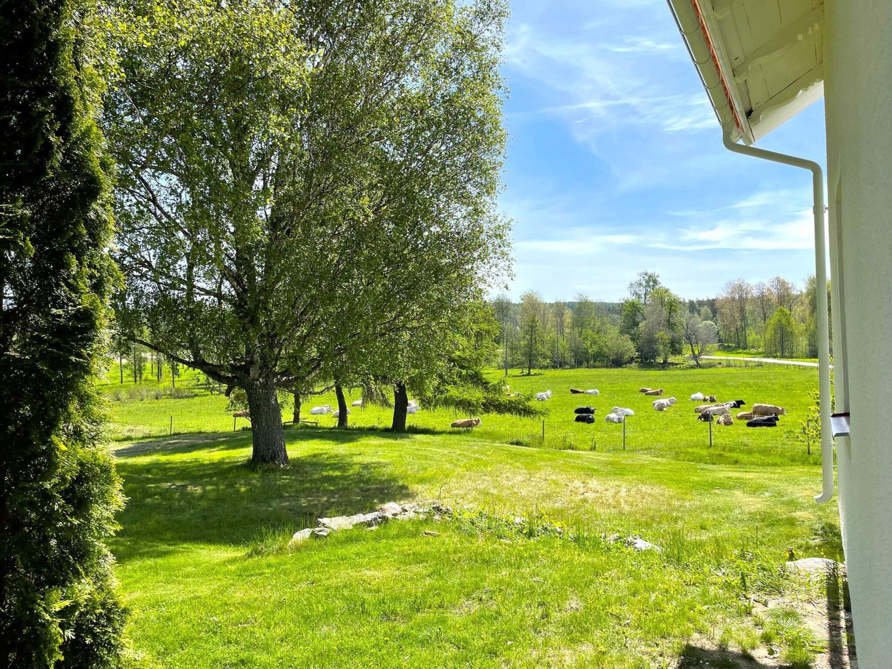 House | Property grounds