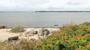 A coastal landscape with a sandy beach, large rocks, and green vegetation.