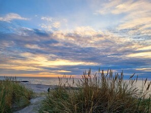 A beach with a path leading to the water, surrounded by tall grasses.