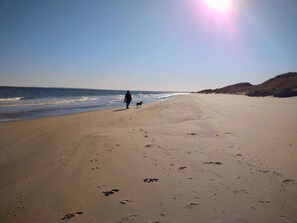 A beach with footprints and a person walking a dog. - 5 Star Holiday Home in Skagen (Skagen)