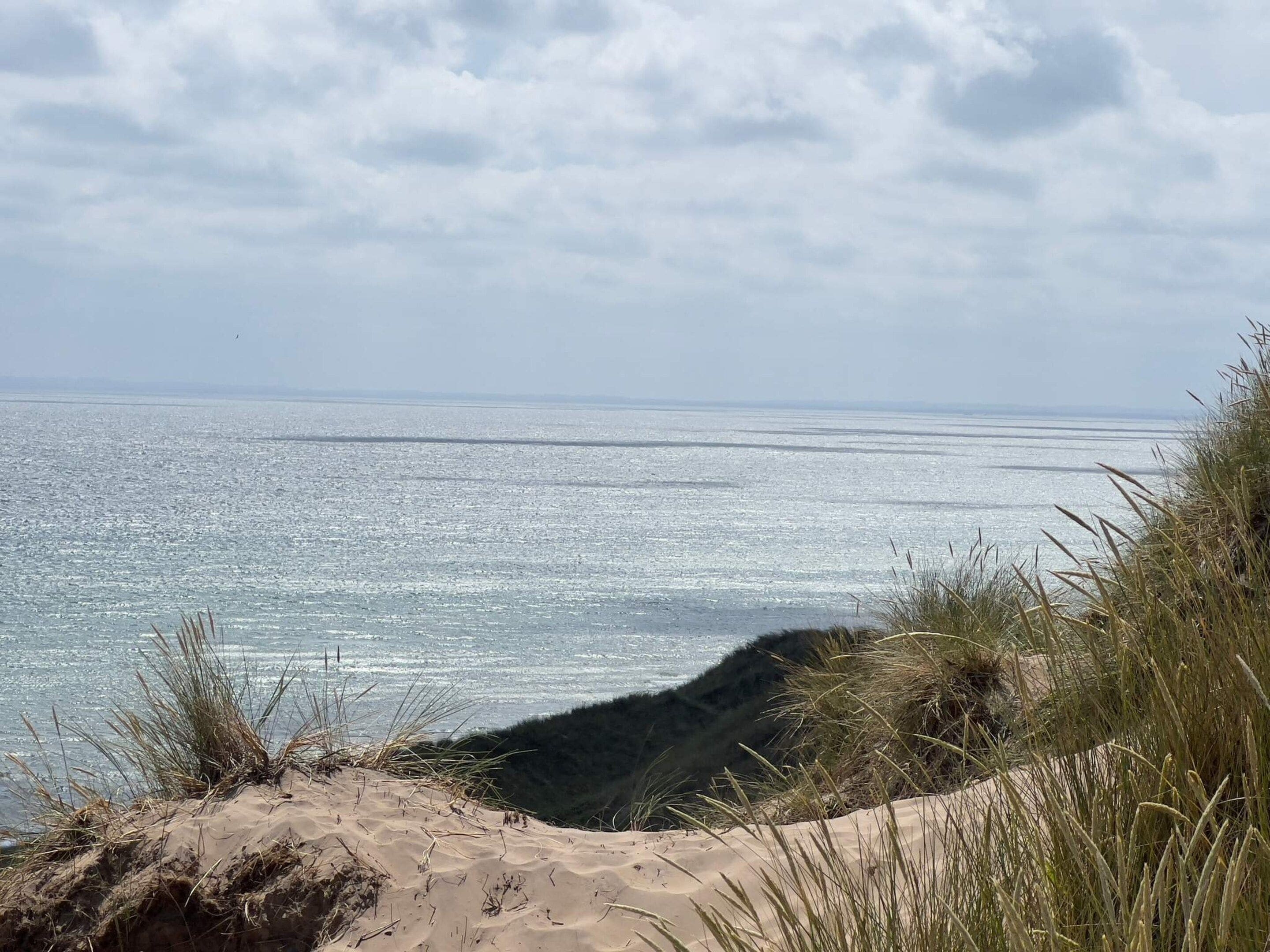 A coastal landscape with a sandy beach, grassy dunes, and a calm sea under a cloudy sky.