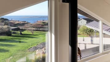 House | View from property